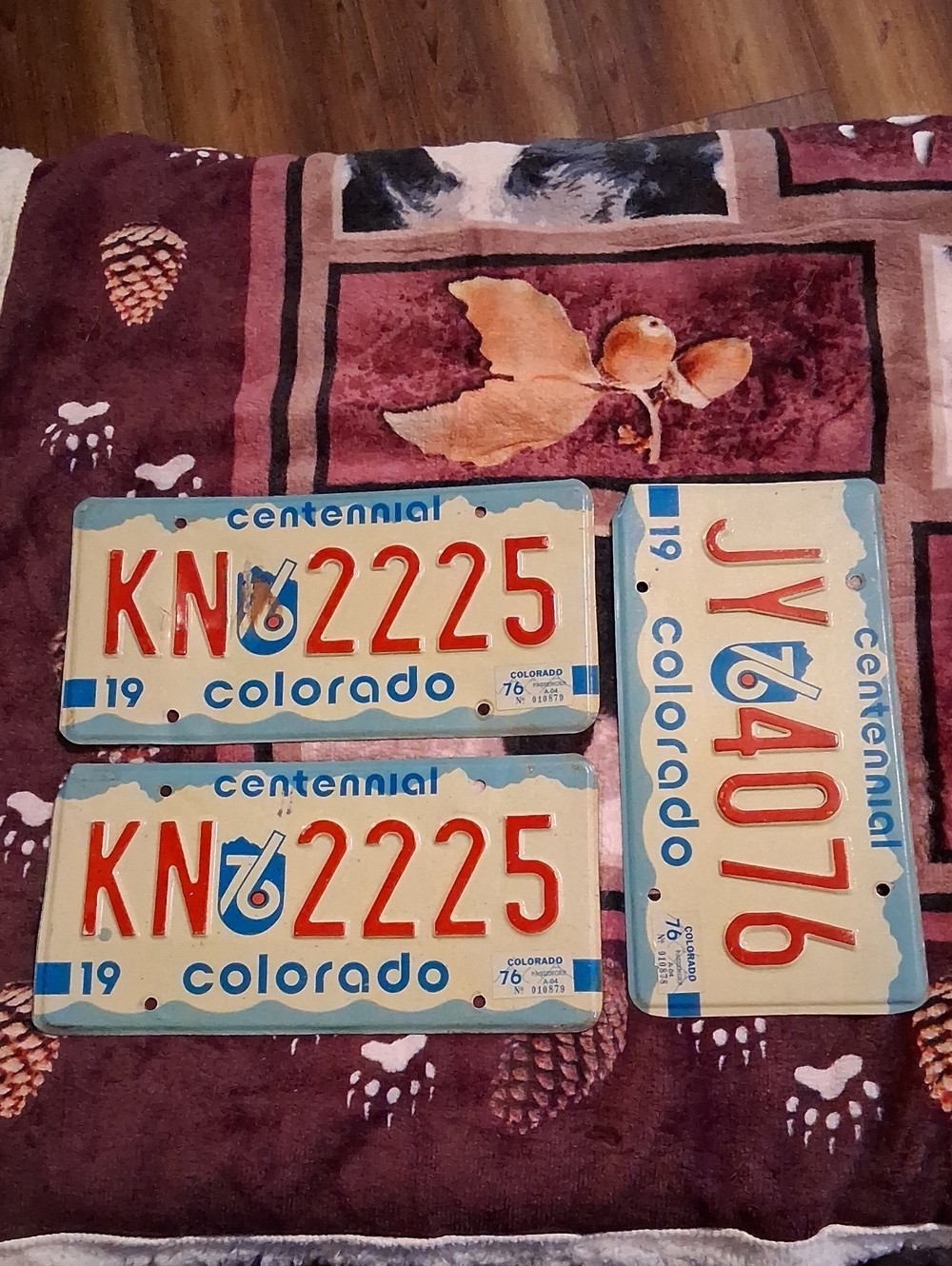 Colorado Centennial License Plate Set - Cream and Blue